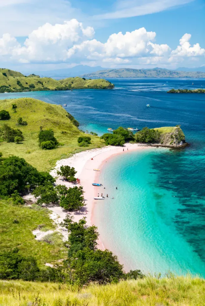 Asia Global Yachting (AGY)  Top View Of Pink Beach With Turquoise Clear Water In Komodo Isla