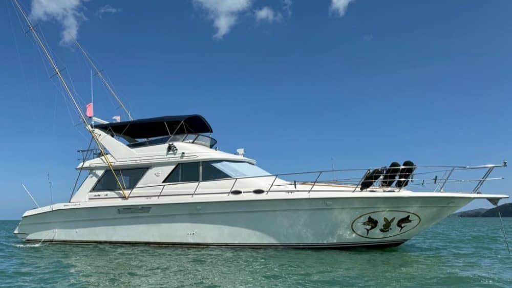 Asia Global Yachting (AGY) Premium Bespoke Yatch Charters, Sales, New Builds, Management & More Searay 55 Sedan Mtu 088
